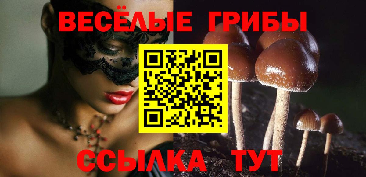 Галлюциногенные грибы Psilocybine cubensis  Галлюциногенные грибы Cubensis  Муравленко  Вход с VPN 
